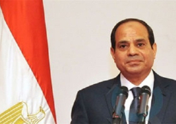 الرئيس عبدالفتاح السيسي يصل مالابو للمشاركة في القمة الإفريقية