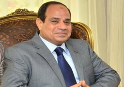 مندوب مصر بالأمم المتحدة يتلقى التهاني بمناسبة انتخاب السيسي رئيسا