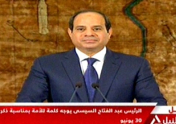السيسي: ثورة 30 يونيو أثبتت قدرة أبناء مصر على الاصطفاف في مواجهة التحديات