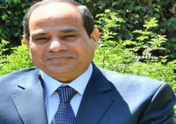 اليابان : انتخاب السيسى خطوة هامة في طريق تنفيذ خارطة الطريق