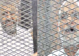 استئناف محاكمة بديع والشاطر اليوم في “أحداث الإرشاد”