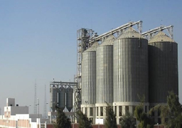 اتفاقية بين مصر والإمارات لتمويل إنشاء صومعتين لتخزين القمح بـ46 مليون دولار