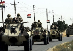 ضبط 8 من عناصر «الإرهابية» للتحريض ضد الجيش بشمال سيناء