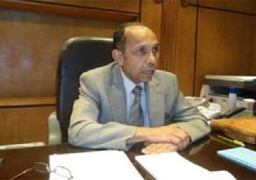 محافظ الفيوم يفتتح (بحبك يا مصر) للفنون الشعبية والتشكيلية