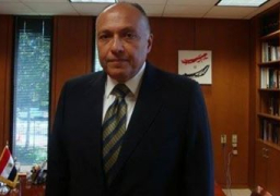 شكرى يتوجه الى السعودية مساء اليوم للمشاركة فى اجتماع عربى حول سوريا