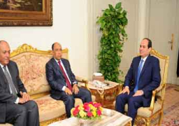 السيسى يؤكد لوزير خارجية موريتانيا ضرورة مكافحة الارهاب والتطرف