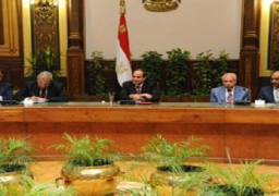 السيسي لرجال الاعمال: سيكون لمصر تجربتها الاقتصادية الخاصة بسواعد أبنائها