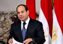 السيسي لـ”كي مون”: انشغالنا بالداخل لن يثنينا عن تسوية قضية فلسطين