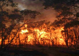 حرائق الغابات فى واشنطن تدمر 200 منزل وتلتهم 243 ألف فدان