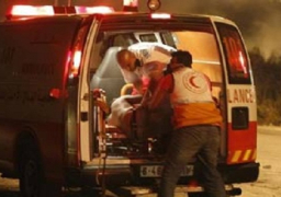 حزب الدستور يدين الهجوم الإرهابي على المدنيين في شمال سيناء