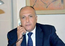 شكرى يبحث مع نظيره الايرانى الاوضاع فى غزة ويلتقى غدا نائب وزير الخارجية اليابانى