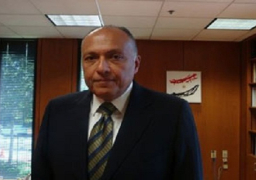 شكري يجتمع بقيادات القطاع العربي بالخارجية لمتابعة الوضع بغزة