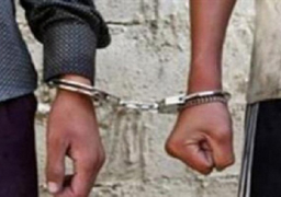 ضبط عدد من عناصر الإخوان بالإسكندرية لخرقهم قانون التظاهر