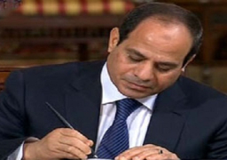 قرار جمهوري بشأن تنظيم الأمانة العامة لمجلس الأمن القومي المصري