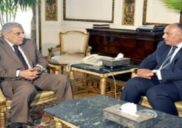 محلب يلتقى شكرى لبحث التطورات السياسية والامنية بليبيا