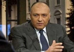 مصر تؤكد على أهمية الحفاظ علي وحدة ليبيا وسلامة أراضيها