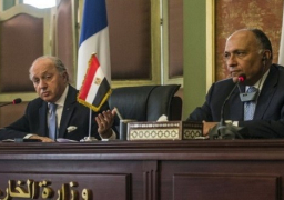 وزير الخارجية : مصر لن تُعدل مبادرتها بشأن غزة