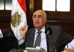 وزير الزراعة: تاثير محدود لإرتفاع أسعار الطاقة على النشاط الزراعي