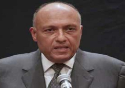 وفد الغرفة الأمريكي لوزير الخارجية: الأجواء إيجابية تجاه العلاقات مع مصر