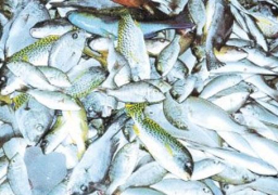 مصر وموريتانيا يبحثان تعزيز التعاون في مجال الثروة السمكية