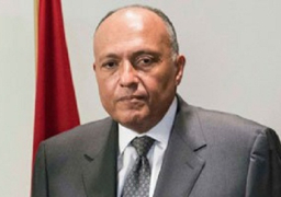 الخارجية: القاهرة تستضيف مؤتمراً لإعادة إعمار غزة