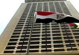 المجتمع الدولي يشيد بنجاح مصر في التوصل لهدنة وقف إطلاق النار في غزة