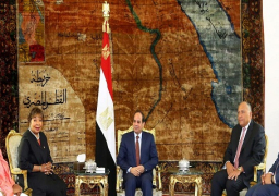 السيسي: نؤمن بالديمقراطية ونُفَعِّلها ولكن دون هدم الأوطان