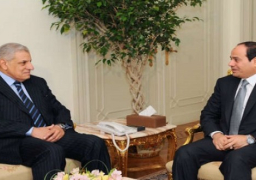 السيسي يفوِّض محلب ووزراء في بعض اختصاصات الرئيس