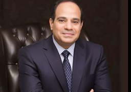 السيسي يؤكد دعم مصر لجهود منظمة التعاون الاسلامي