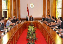 السيسي يلتقي شباب مبادرة “فكرتي”.. ويوجه الجهات المعنية بدراسة مشروعاتهم لتنفيذها