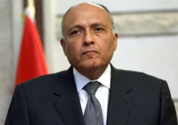 شكري يصل إلي مدريد للمشاركة في المؤتمر الوزاري حول ليبيا