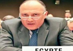 شكرى : تشكيل لجان فنية مع دول الجوار لمتابعة أوضاع المصريين العالقين