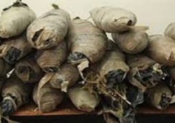 ضبط 2 طن بانجو و13قطعة سلاح بحملة بجنوب الشرقية