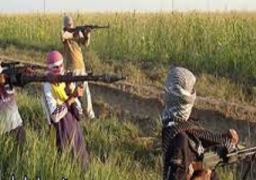 مسؤول إيرانى يشيد بتعاون فرنسا مع إيران فى قمع التحركات المناهضة للأمن فى العراق