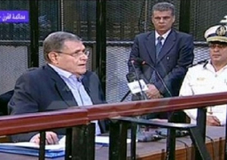 فايد: حصيلة ضحايا التحرير قد تصل الى 160 الف وليس 16 حال اللجوء للقوة