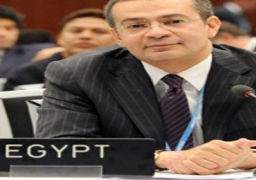مندوب مصر بالأمم المتحدة : وعد بلفور تجاهل إنشاء وطن قومى للفلسطينيين