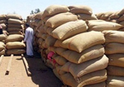 وصول 65 ألف طن قمح من روسيا إلى ميناء الإسكندرية