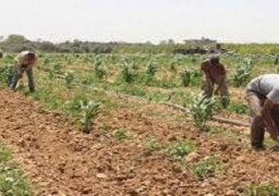 “السعودية المصرية” تعلن عن مبادرة لاستصلاح 10آلاف فدان توفر 10 آلاف فرصة عمل