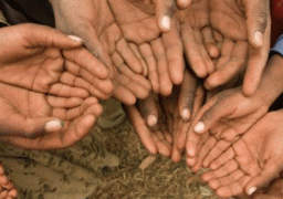 الفاو يحذر من أزمة غذاء عالمية بسبب تفشي الإيبولا