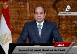 بالفيديو :السيسي: أمامنا تحديات ضخمة ونخوص معركة وجود