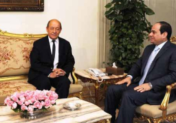 السيسي يلتقي وزير دفاع فرنسا.. وقمة مرتقبة مع أولاند على هامش الجمعية العامة للأمم المتحدة