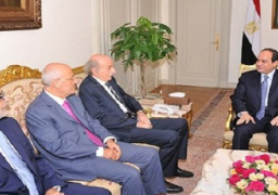السيسي يستقبل وليد جنبلاط قائد الكتلة النيابية اللبنانية
