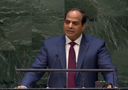 السيسي: العالم بدأ يدرك ما جرى بمصر.. والإرهاب لا يفرق بين أي مجتمع