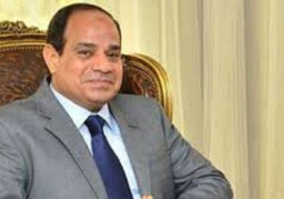 السيسي وزوما يؤكدان أهمية وقف إمدادات المال والسلاح للجماعات المسلحة