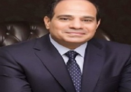 السيسي يدعو المصريين للمشاركة في انتخابات البرلمان والشباب إلى الترشح