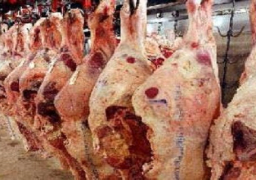 توفير 24 طن من اللحوم الطازجة والأبقار استعدادا لعيد الأضحى بمطروح