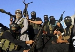 مظاهرة موالية لتنظيم داعش في اسطنبول