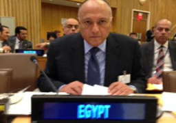 نص كلمة شكرى أمام الاجتماع التنسيقى السنوي لوزراء خارجية دول منظمة التعاون الإسلامى