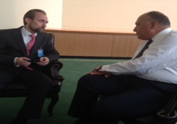 شكري: يجب مراعاة الخصوصية الثقافية للشعوب العربية والإسلامية والأفريقية