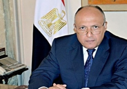 شكري يحضر المؤتمر الثاني للجنة العمل السياسي المصرية الامريكية